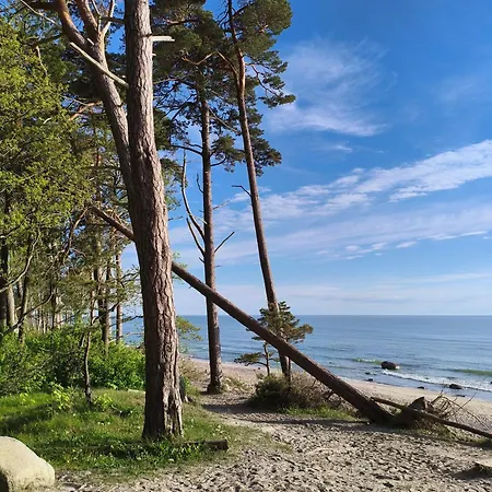 Lägenhet Luxury Loft With Seaside Self Check-in Klaipėda