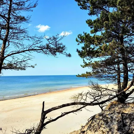 Luxury Loft With Seaside Self Check-in * Klaipėda