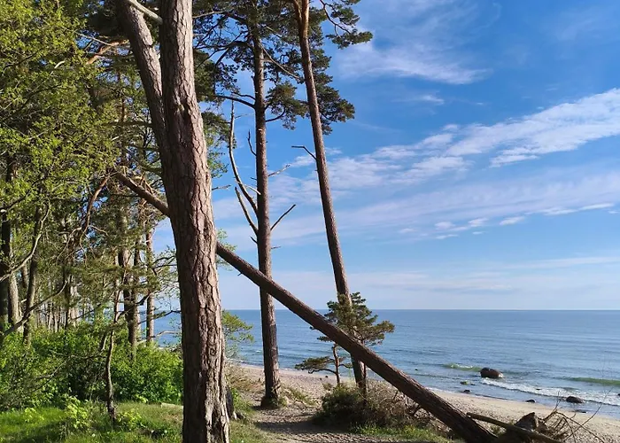 Appartamento Luxury Loft With Seaside Self Check-in Klaipėda